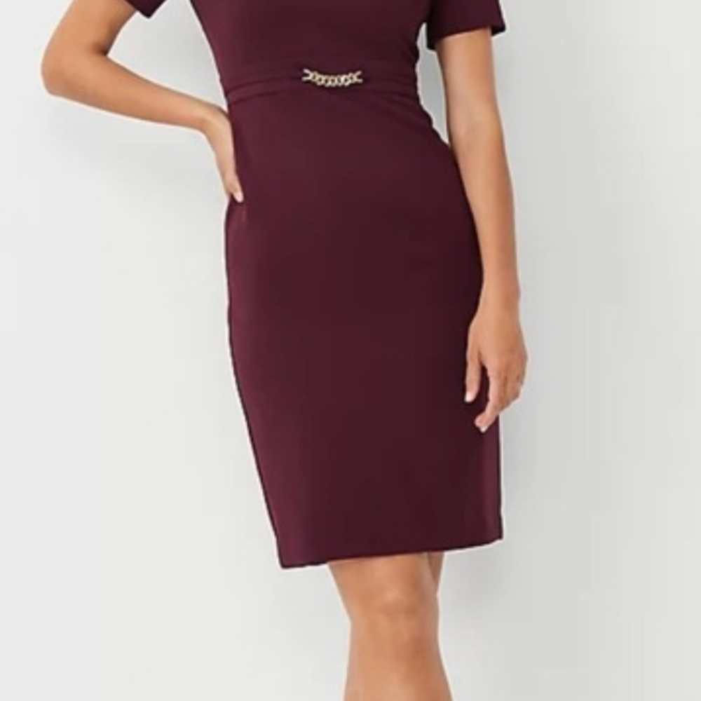Ann Taylor Burgundy Dress - Professional - Chic Work Dress